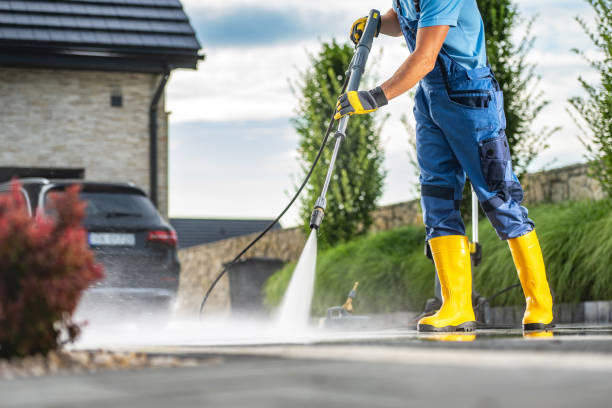 Best Roof Pressure Washing  in Driggs, ID